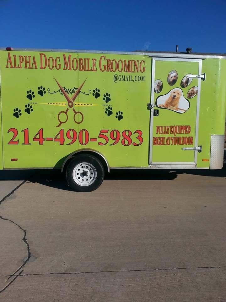 MICHAEL JOE’S ALPHA DOG MOBILE GROOMING Updated July 2024 Frisco