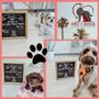 Photo of Dry Creek Animal Hospital