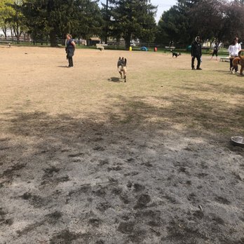 Behnke Memorial Dog Park - My Shepard going for a run - Dog Parks Near Me - Mount Clemens, Michigan Behnke Memorial Dog Park - My Shepard going for a run - Dog Parks Near Me - Mount Clemens, Michigan