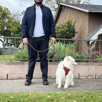 Pawsome Pet Watch - Pet Sitting Near Me - Anaheim, California Pawsome Pet Watch - Pet Sitting Near Me - Anaheim, California