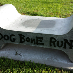 Dog Bone Run - Bench