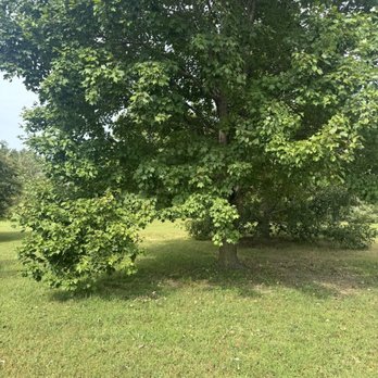 Peake Property Solutions - Before - Lawn Services Near Me Peake Property Solutions - Before - Lawn Services Near Me