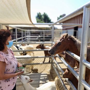 Montebello Barnyard Zoo - Petting Zoos Near Me - Montebello, California