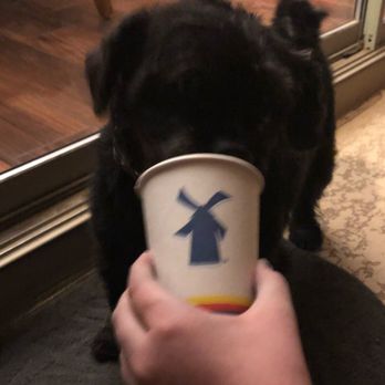 Dutch Bros Coffee - Coffee & Tea Near Me - Gilbert, Arizona