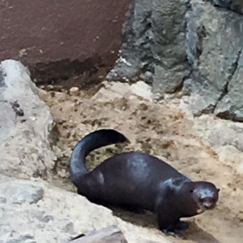 Birmingham Zoo - Zoos Near Me - Birmingham, Alabama