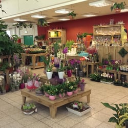 Holland Blumen Discount