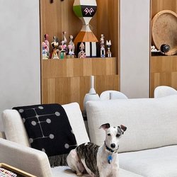Jules Seltzer Associates - Pearl - making herself at home