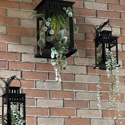Breaktime Tea - Cool hanging plants