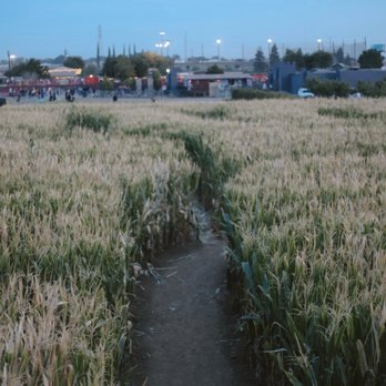 Dell'Osso Family Farm - from the top of a vista point of the corn maze - Pumpkin Patches Near Me - Lathrop, California Dell'Osso Family Farm - from the top of a vista point of the corn maze - Pumpkin Patches Near Me - Lathrop, California