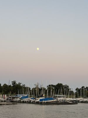 White Rock Lake by null