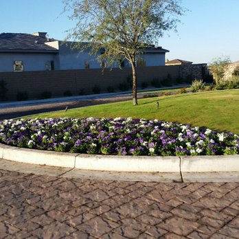 ELS Landscape - Spring flowers at one of our beautiful maintained communities. - Landscaping Near Me - Phoenix, Arizona