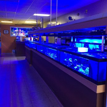 Nemo Aquarium - Local Fish Stores Near Me - Lawrenceville, Georgia