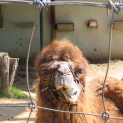 Zoo Saarbrücken