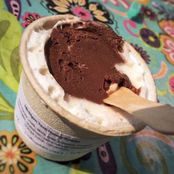 Rollin' Gelato - Michigan Tech Honey Gelato