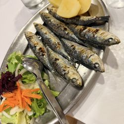 Sardines