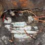 Photo of Texas Pool Leak Solutions