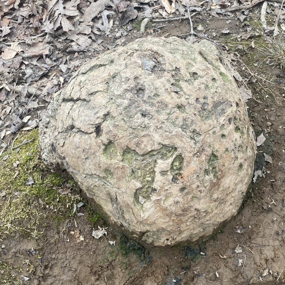 William B Umstead State Park - Interesting rock - Hiking Near Me - Raleigh, North Carolina William B Umstead State Park - Interesting rock - Hiking Near Me - Raleigh, North Carolina
