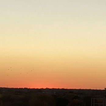 City of Grapevine - Yesterdays magical sunset over Grapevine from the 6th floor of the Gaylord Resort. - Amateur Sports Teams Near Me - Grapevine, Texas City of Grapevine - Yesterdays magical sunset over Grapevine from the 6th floor of the Gaylord Resort. - Amateur Sports Teams Near Me - Grapevine, Texas