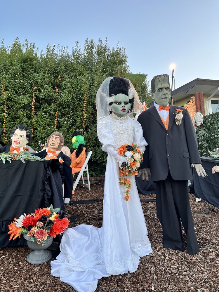 REX ACE HARDWARE Updated October 2024 20 Photos & 69 Reviews 313