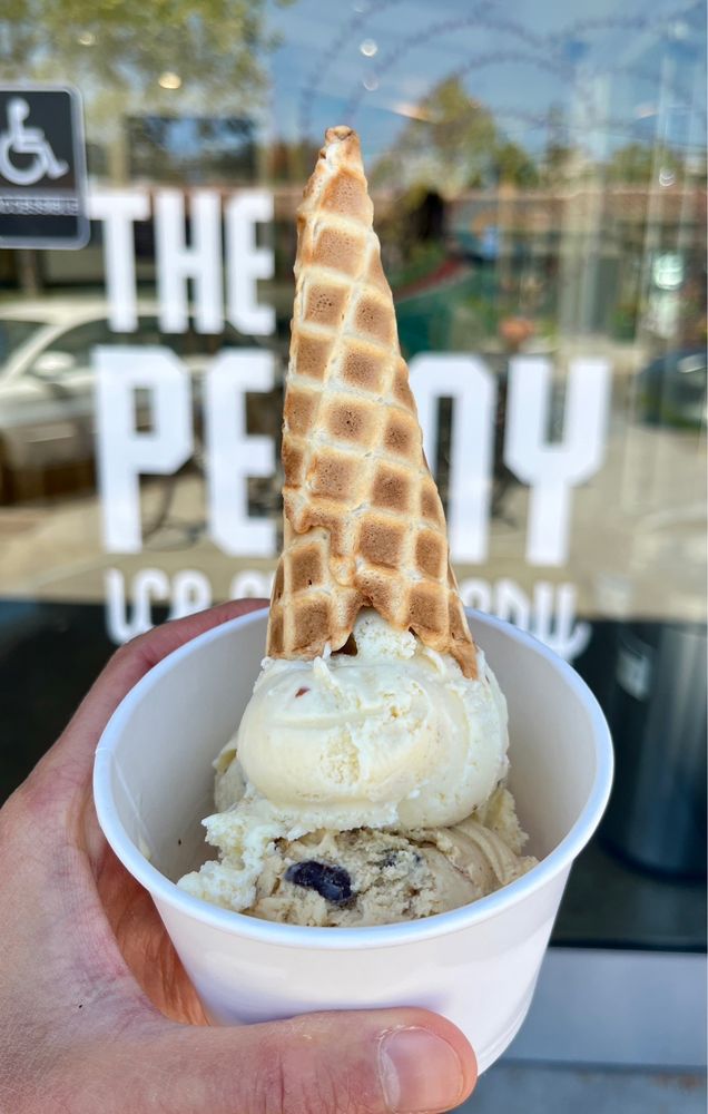 THE PENNY ICE CREAMERY 42 Photos & 17 Reviews 855 El Camino Real