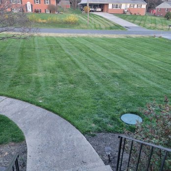 Rodgers Neighborhood Landscaping - Fresh cut grass - Landscaping Near Me