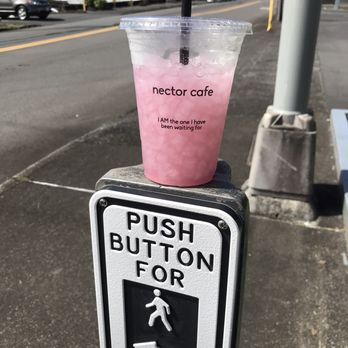 Nector Cafe - On the move - Cafes Near Me - Hilo, Hawaii Nector Cafe - On the move - Cafes Near Me - Hilo, Hawaii