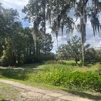 Jungle Gardens - swampy - Botanical Gardens Near Me - Avery Island, Louisiana