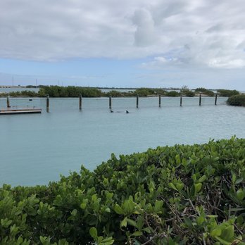 Dolphin Connection - The tanks - Zoos Near Me - Duck Key, Florida