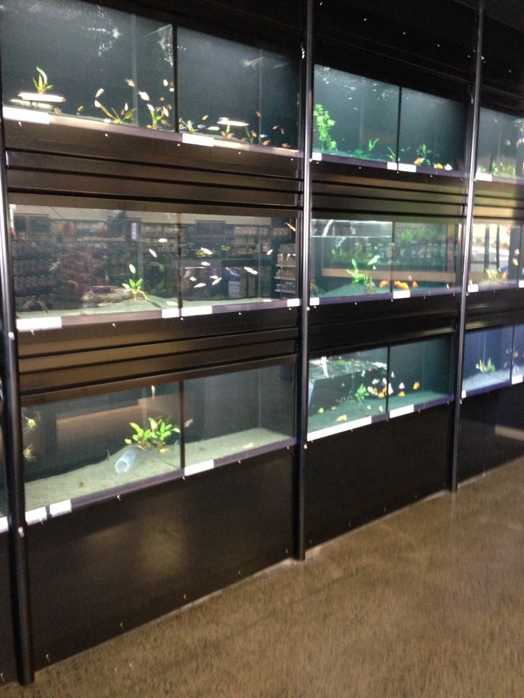 PET MARKET Updated July 2024 10 Constellation Drive, Auckland, New