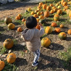 Port Kells Nurseries