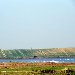 Insel Poel - Insel Poel - Naturlandschaft