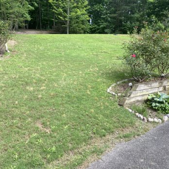 Southern Boys Maintenance - Trimmed the bushes an edged the property lines - Lawn Services Near Me Southern Boys Maintenance - Trimmed the bushes an edged the property lines - Lawn Services Near Me