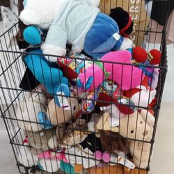 Savers