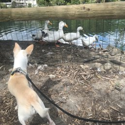 Hanging at the pond! Hanging at the pond!