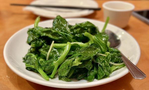 Enjoy Vegetarian Restaurant by null