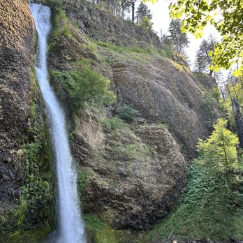 Wildwood Adventures - Horsetail Falls - Tours Near Me Wildwood Adventures - Horsetail Falls - Tours Near Me