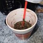 Photo of Pulp Juice And Smoothie Bar