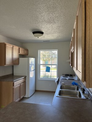 American Rooter Express Logo