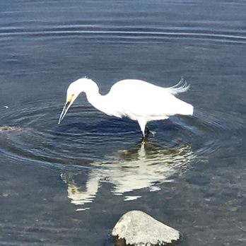 Virginia Lake Park - Playgrounds Near Me - Reno, Nevada Virginia Lake Park - Playgrounds Near Me - Reno, Nevada
