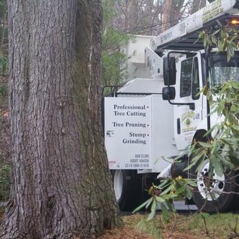 All Safe Tree Services - Landscaping Near Me - Nyack, New York