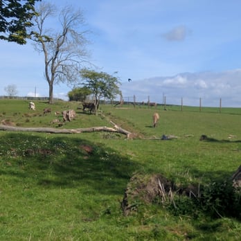Beecraigs Country Park - Hotels & Travel Near Me