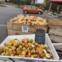 Willow Tree Farms