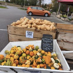 Willow Tree Farms