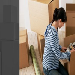 Academy Movers