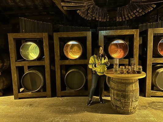 Midleton Distillery Experience by null