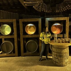 Jameson Experience - Brenda our tour guide