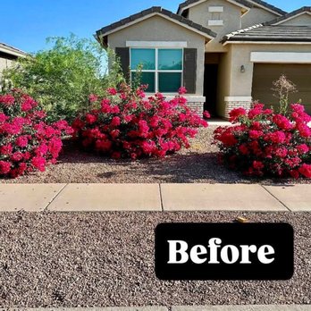 Desert Eagle Landscaping - Landscaping Near Me - Coolidge, Arizona Desert Eagle Landscaping - Landscaping Near Me - Coolidge, Arizona