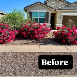 Desert Eagle Landscaping