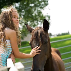 Nookside Stables
