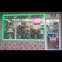Photo of Ely's Pharmacy & Discount